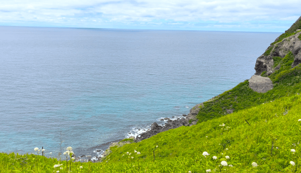 Cape Kamui & the Shakotan Peninsula: The Ultimate Coastal Day Trip from Sapporo